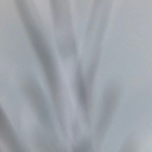 Meet your Posher, Haleigh